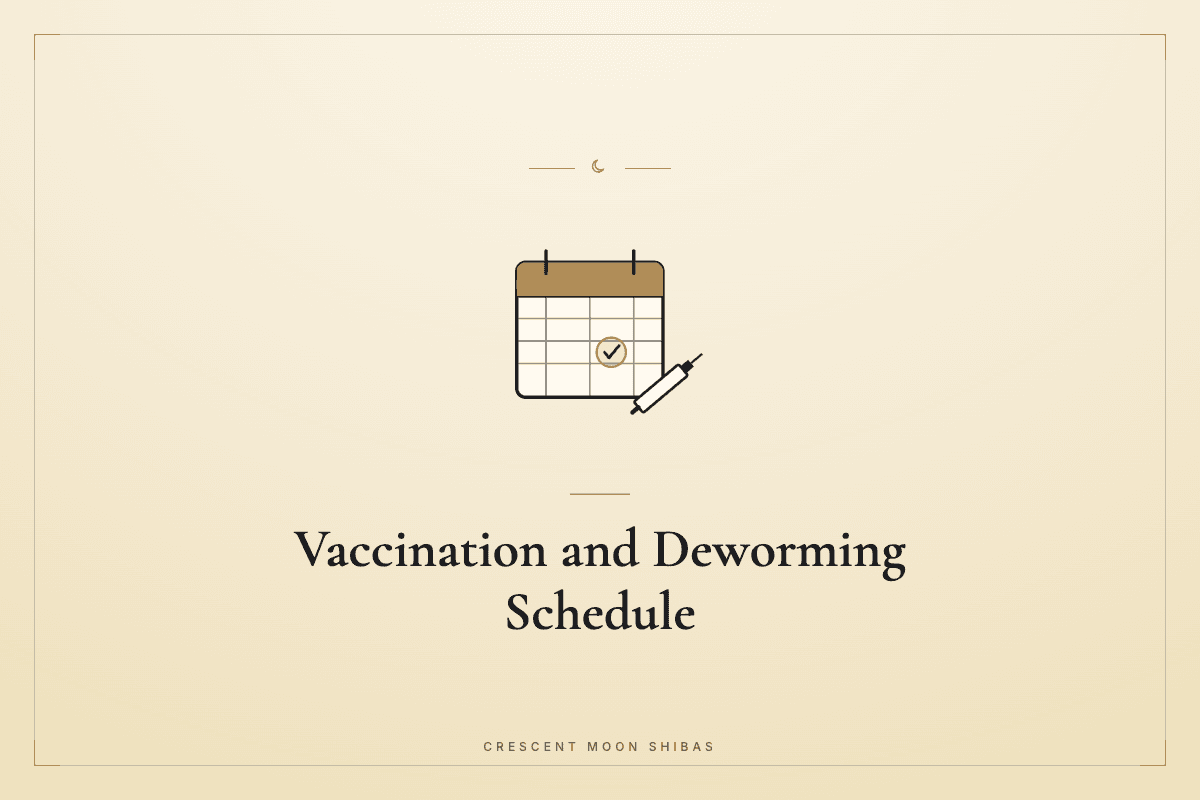 Building a Vaccination and Deworming Schedule with Your Vet